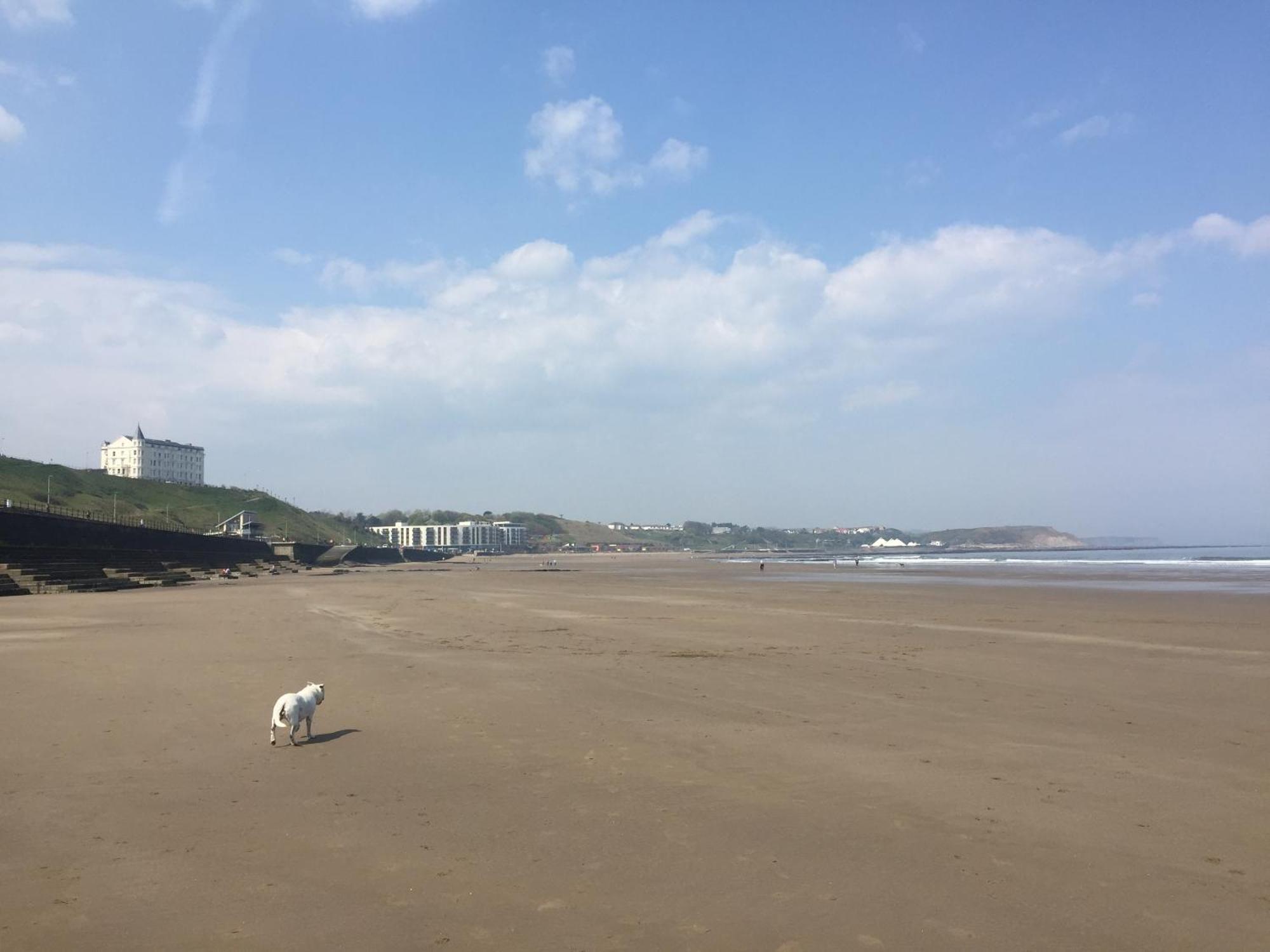 The Leeway Guest house 4*